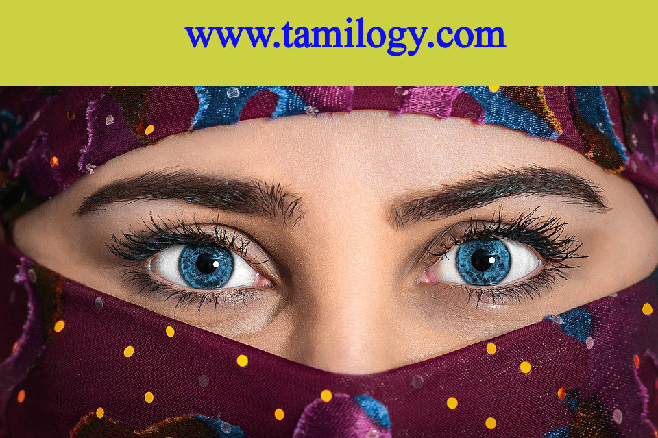 Eye health in Tamil